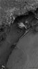 SAR Image